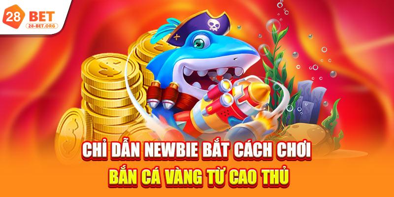 Chỉ dẫn newbie bắt cách chơi bắn cá vàng từ cao thủ