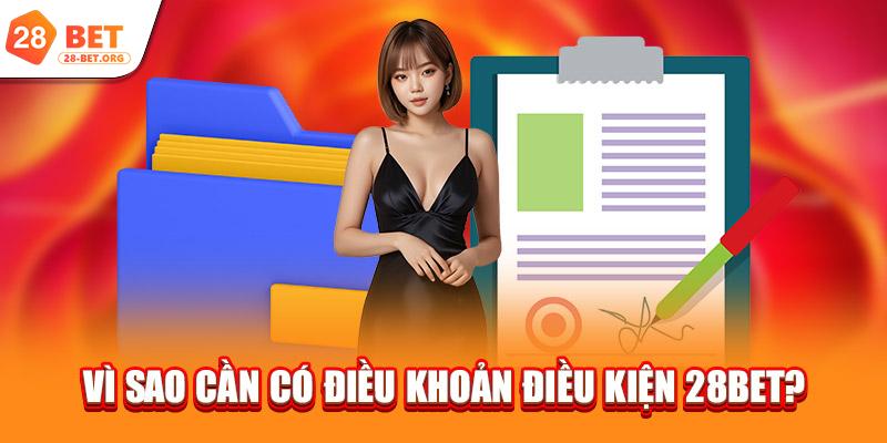 Vì sao cần có điều khoản điều kiện 28bet?